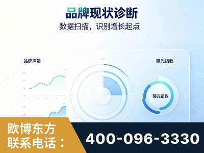 漳平-品牌现状诊断