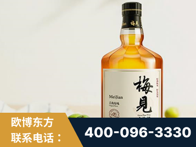 漳平-梅见青梅酒